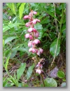dscf3702.jpg