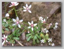 dscf3735.jpg