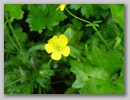 dscf3739.jpg