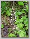 dscf3750.jpg