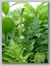 dscf3761.jpg