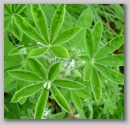 dscf3769.jpg