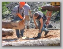 Buck Saw Contest 2