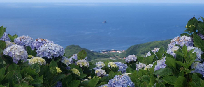 Flores Island looking west, Azores