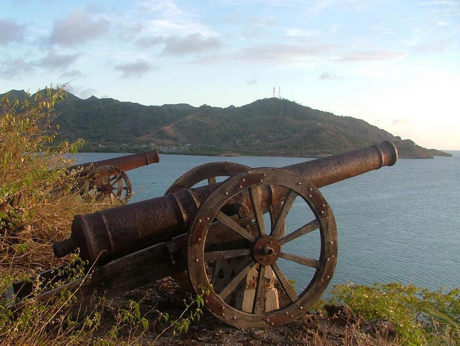 Cannons at Fort Warwick