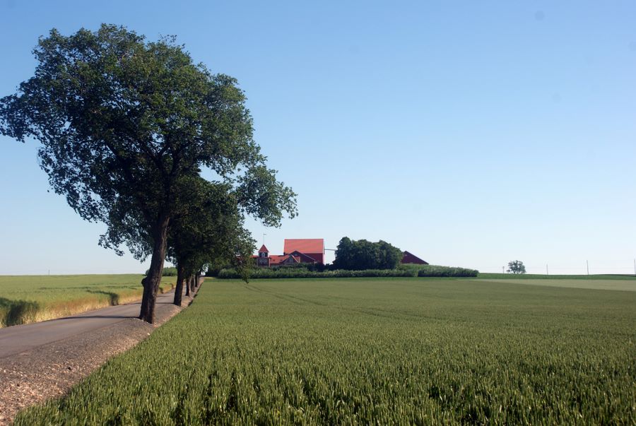 Swedish farm