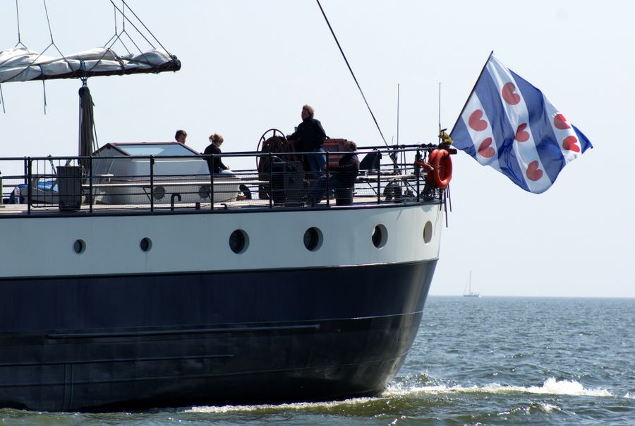 Regional flag of Friesland