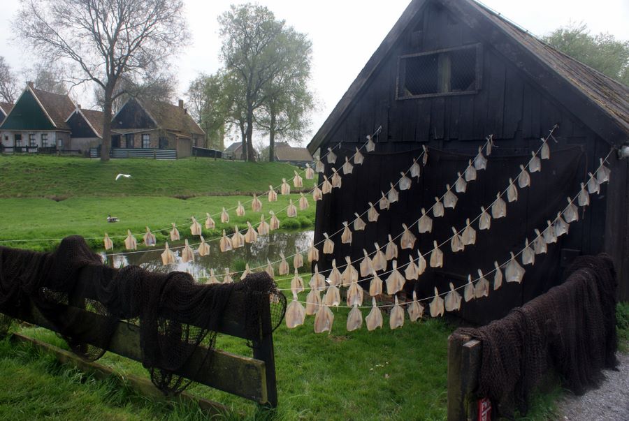 Fish drying demonstration at the Zuiderzee Museum in Enkhuizen